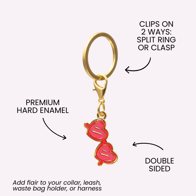 Sunglasses Pet Charm