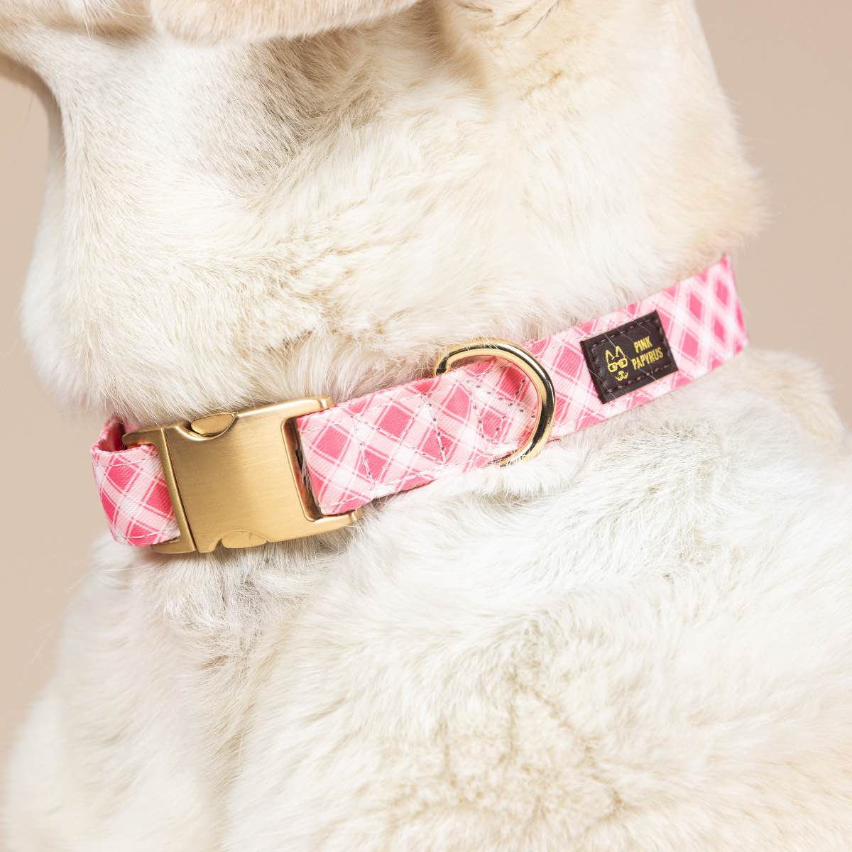 Sutton Dog Collar | Pink Papyrus