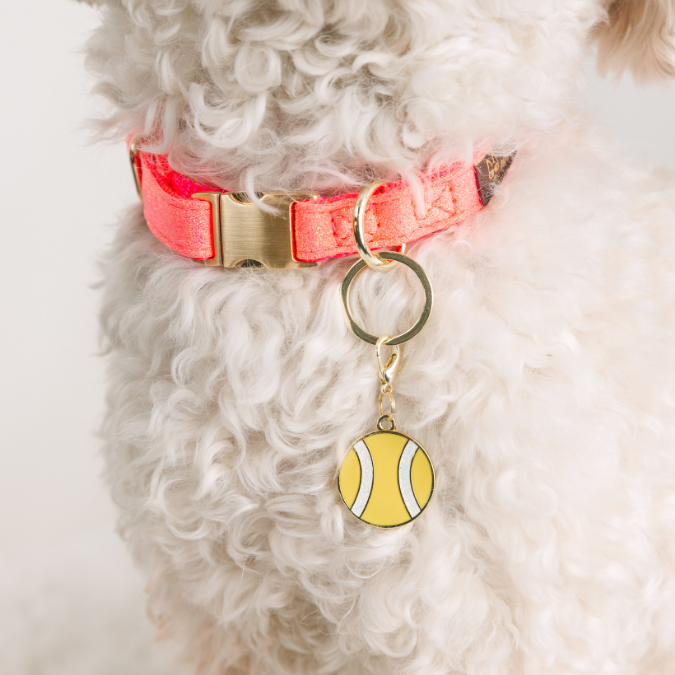 Tennis Ball Pet Charm