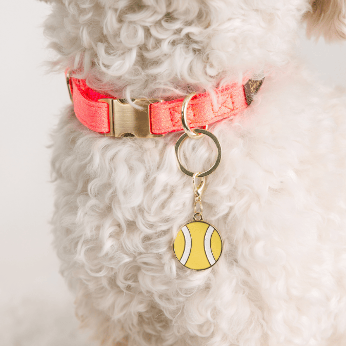 Tennis Ball Pet Charm | Pink Papyrus