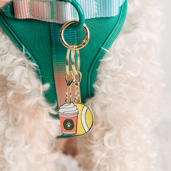 Puppuccino & Tennis Ball Pet Charm Set