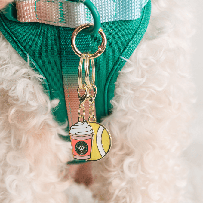 Puppuccino & Tennis Ball Pet Charm Set | Pink Papyrus