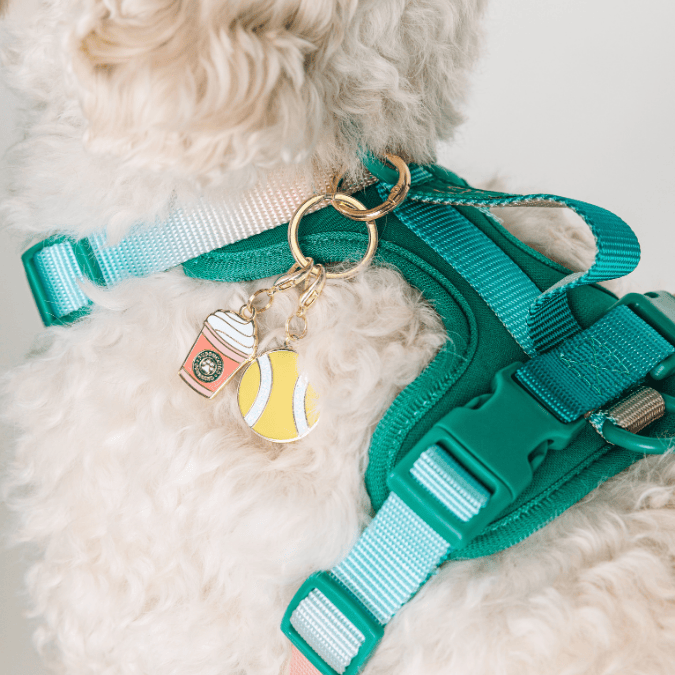 Puppuccino & Tennis Ball Pet Charm Set | Pink Papyrus