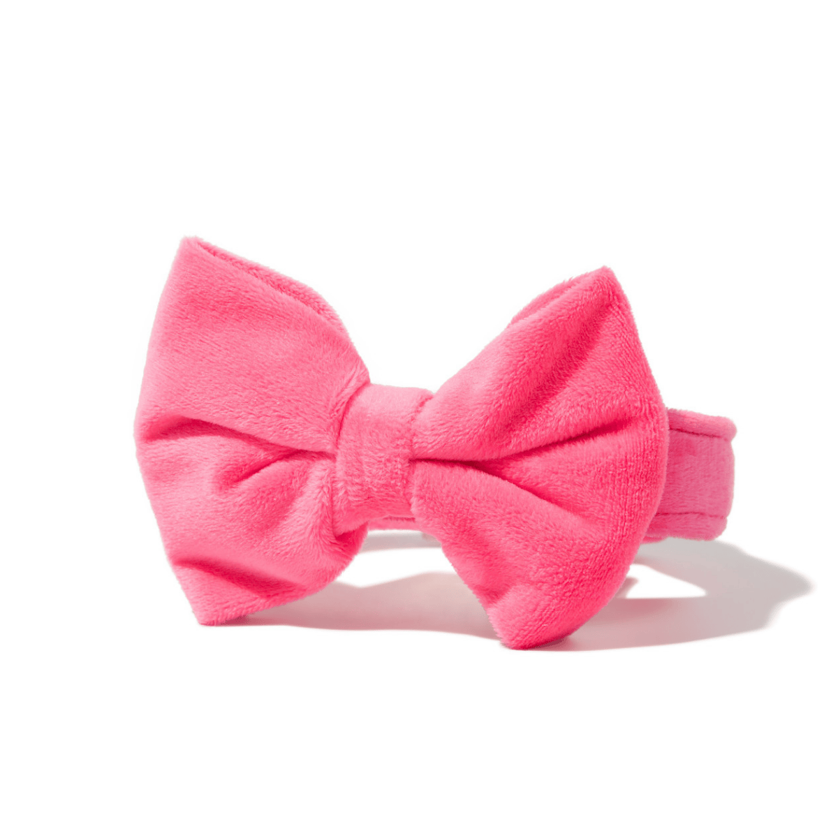 Valentina Bow Tie Dog Collar | Pink Papyrus