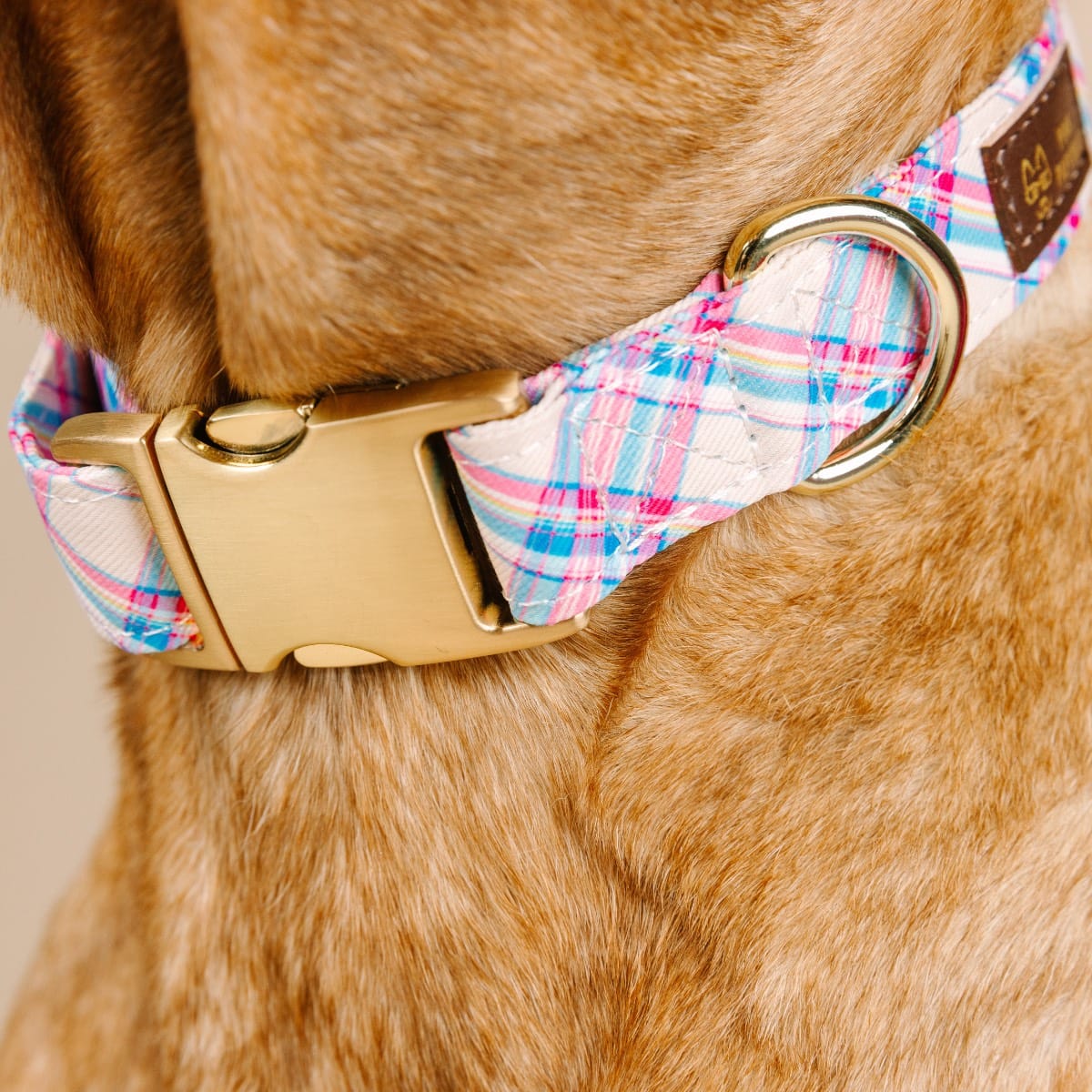 Whitley Dog Collar | Pink Papyrus