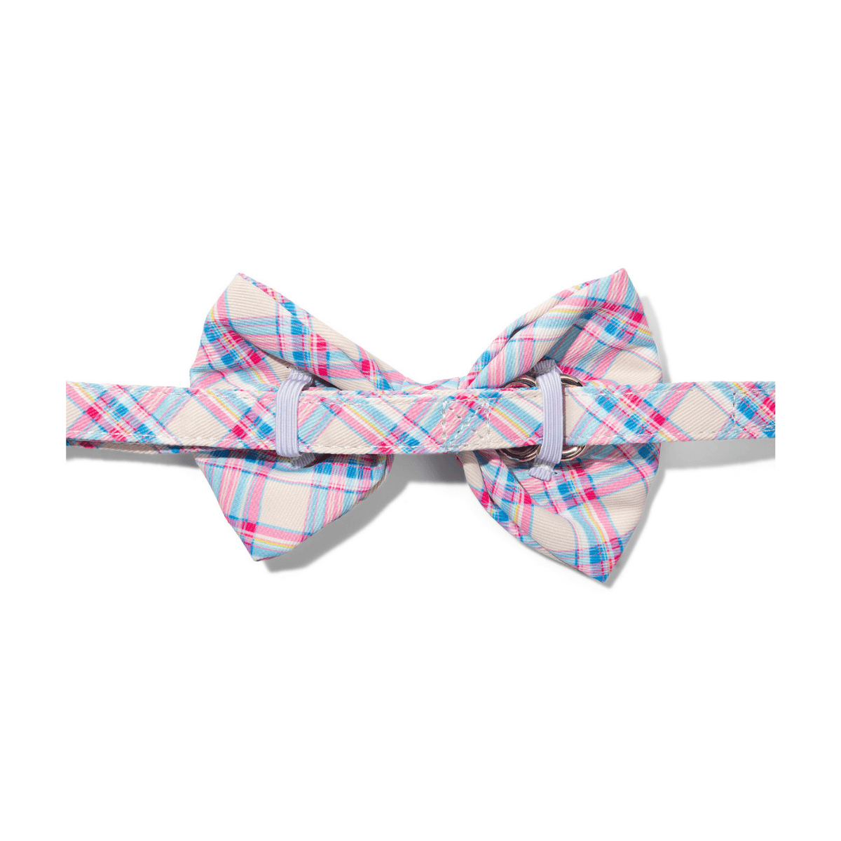 Whitley Bow Tie Dog Collar