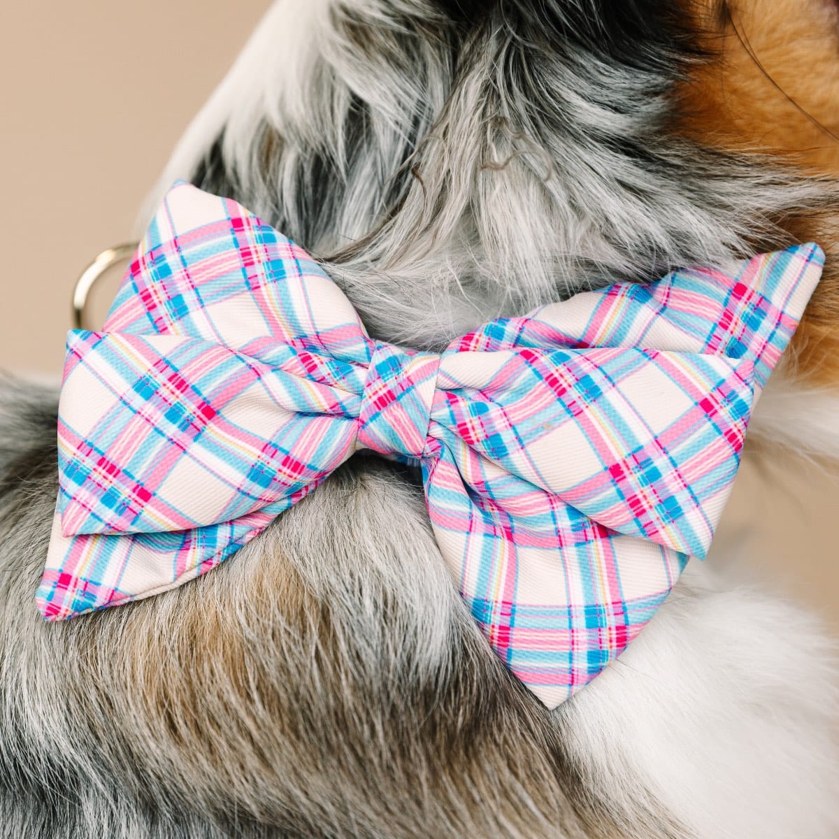 Whitley Dog Babe Bow | Pink Papyrus