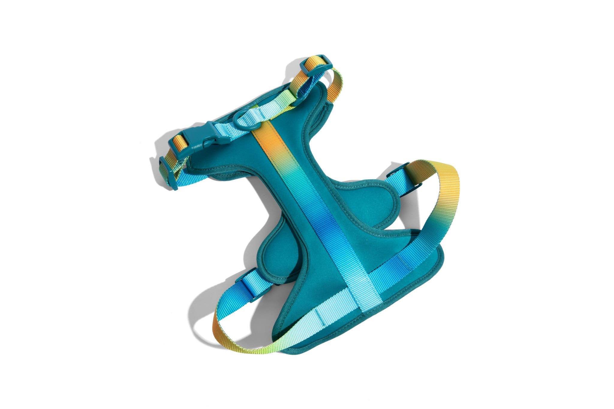 Citrus Splash Dog Harness Bundle