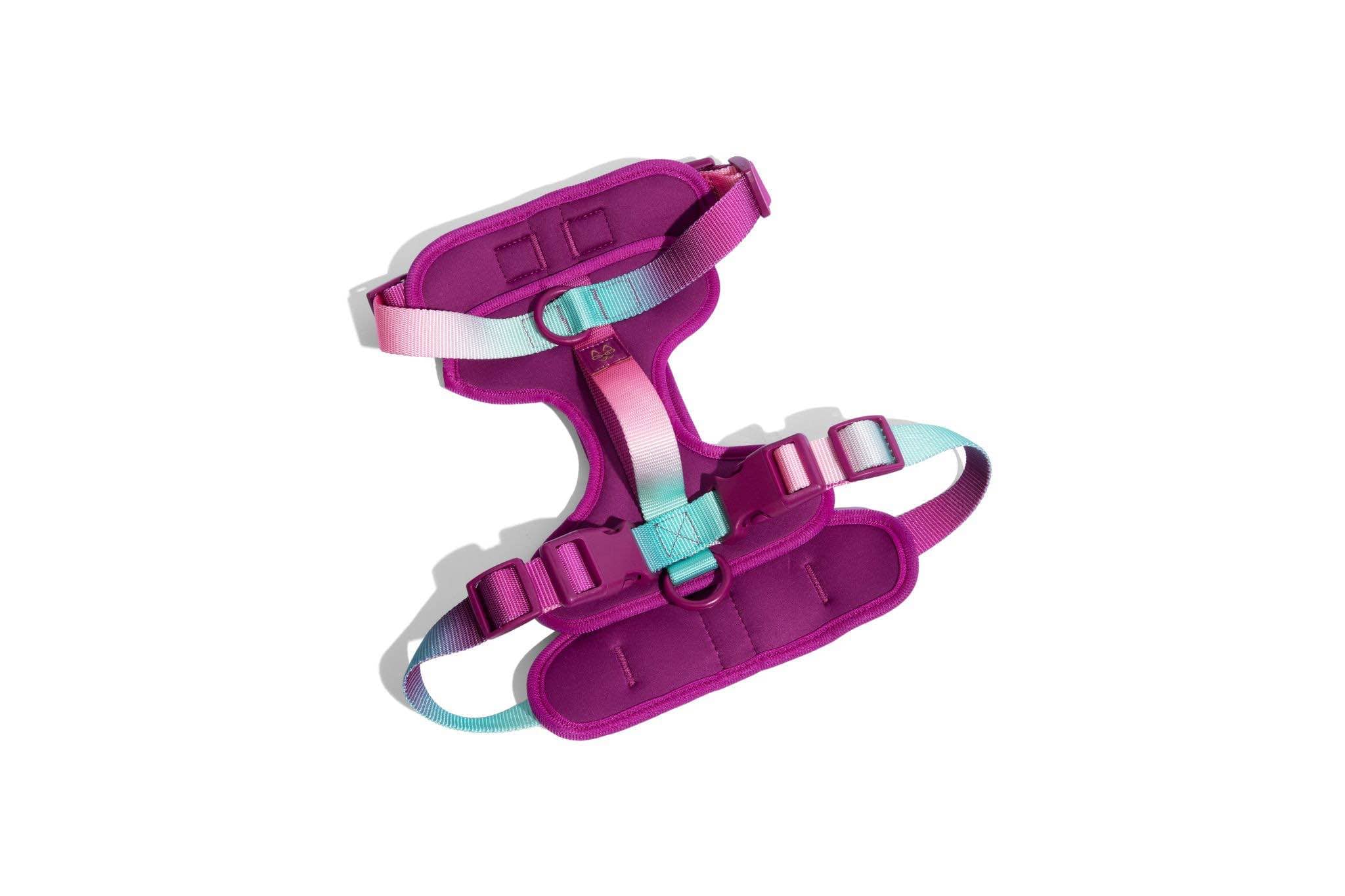 Purple Haze Dog Harness Bundle | Pink Papyrus