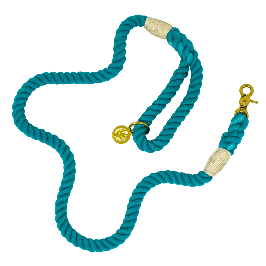 Ariel Rope Dog Leash | Pink Papyrus