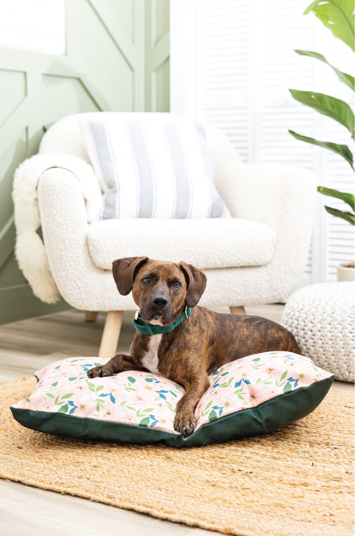 Astrid Dog Bed | Pink Papyrus