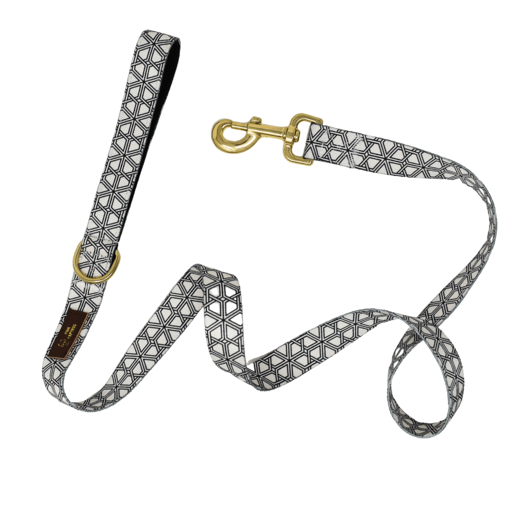 Avery Dog Leash | Pink Papyrus