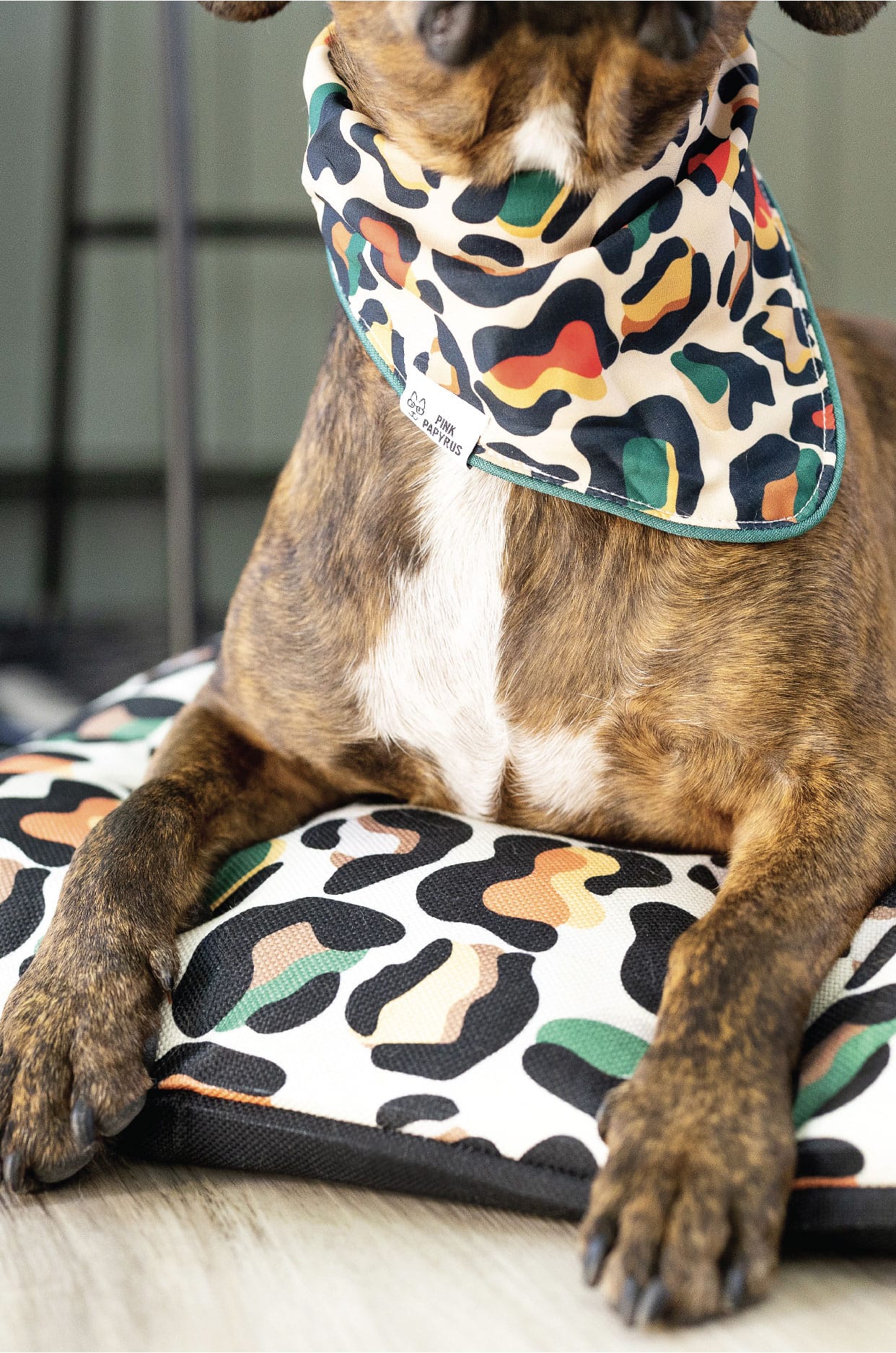 Beckett Dog Bed | Pink Papyrus