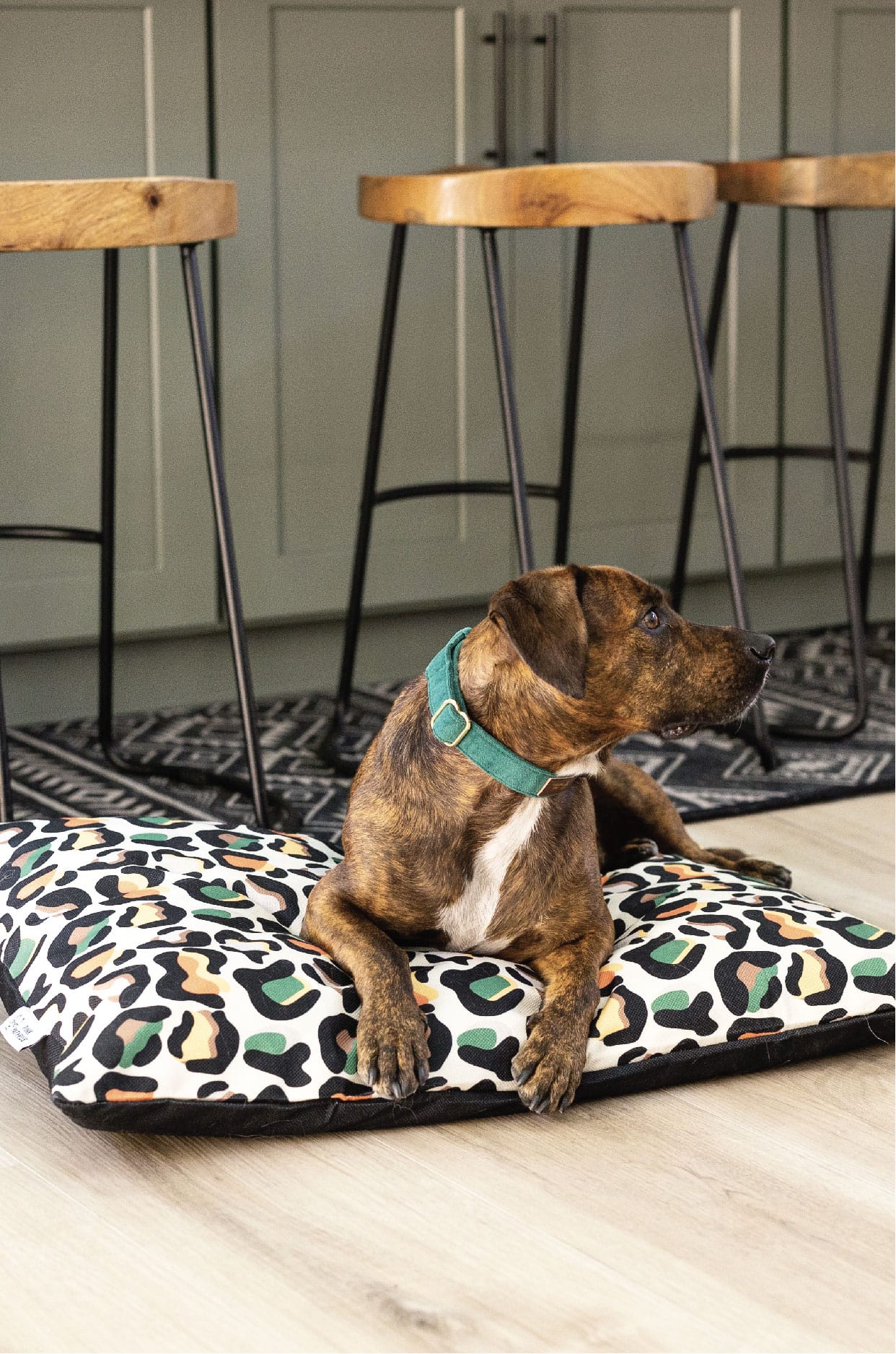 Beckett Dog Bed | Pink Papyrus