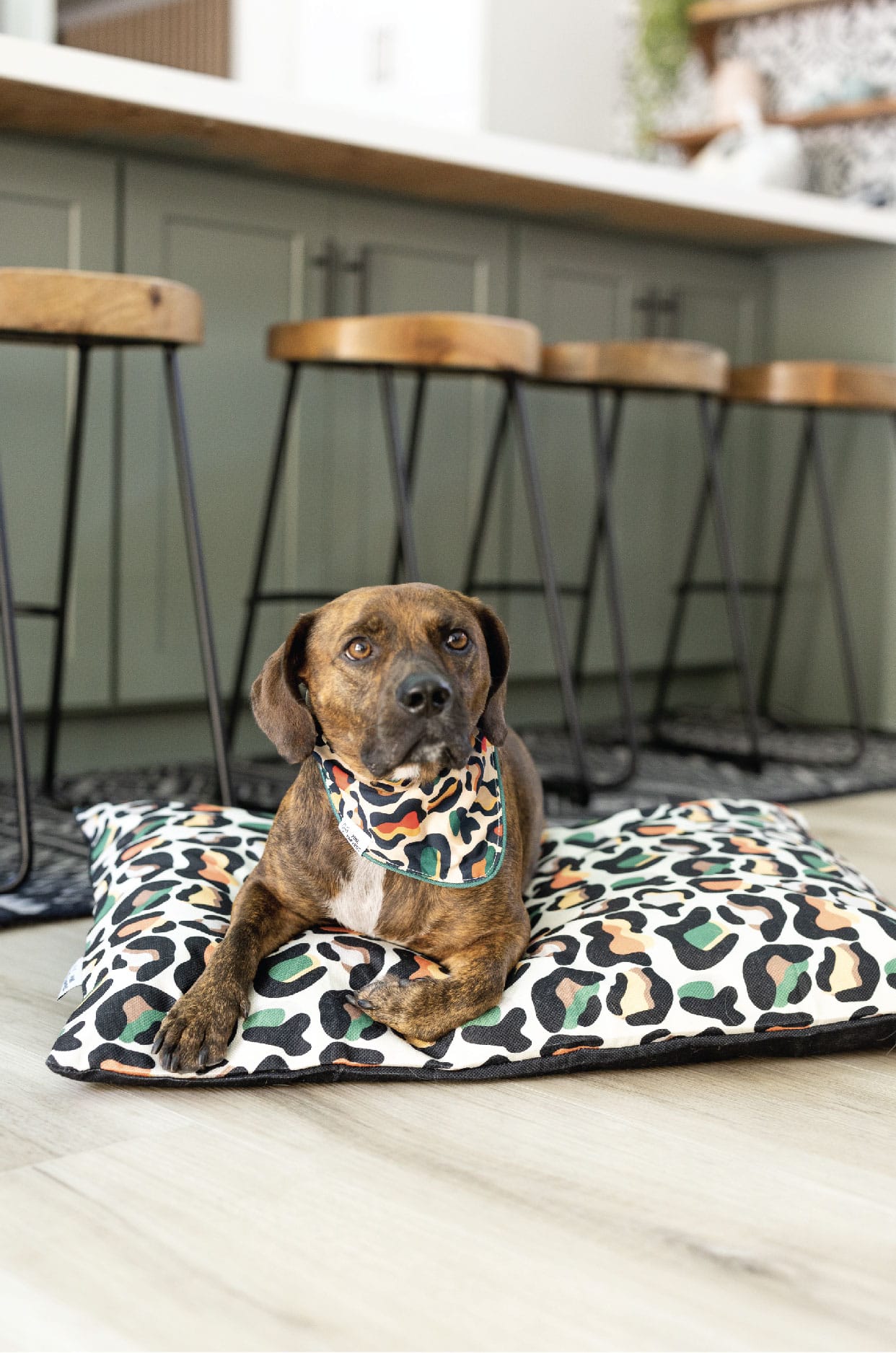 Beckett Dog Bed | Pink Papyrus