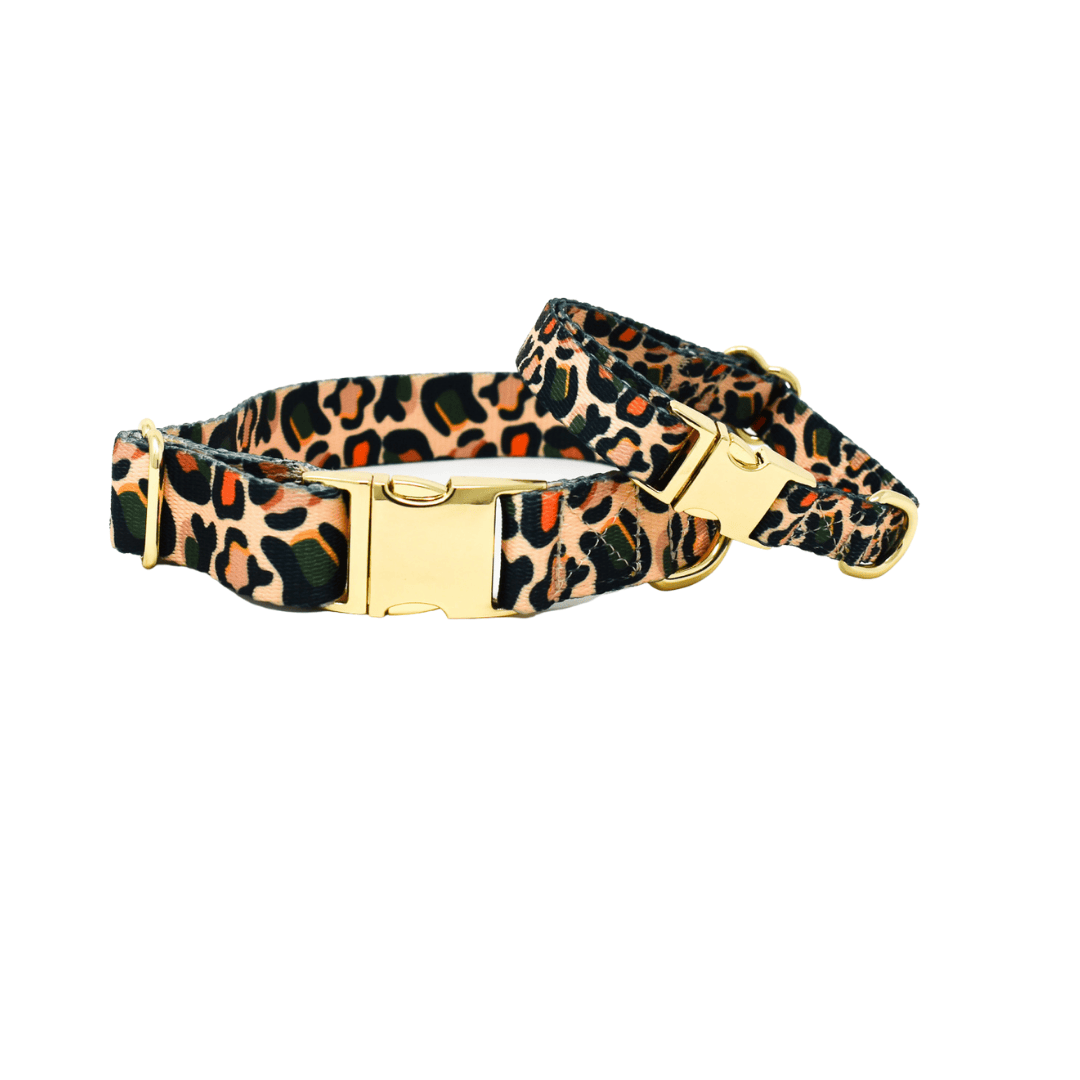 Beckett Dog Collar | Pink Papyrus
