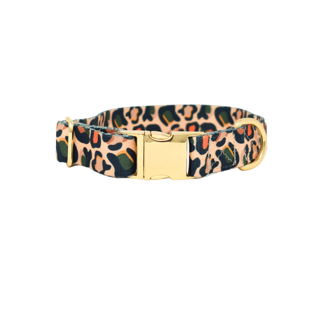 Beckett Dog Collar | Pink Papyrus