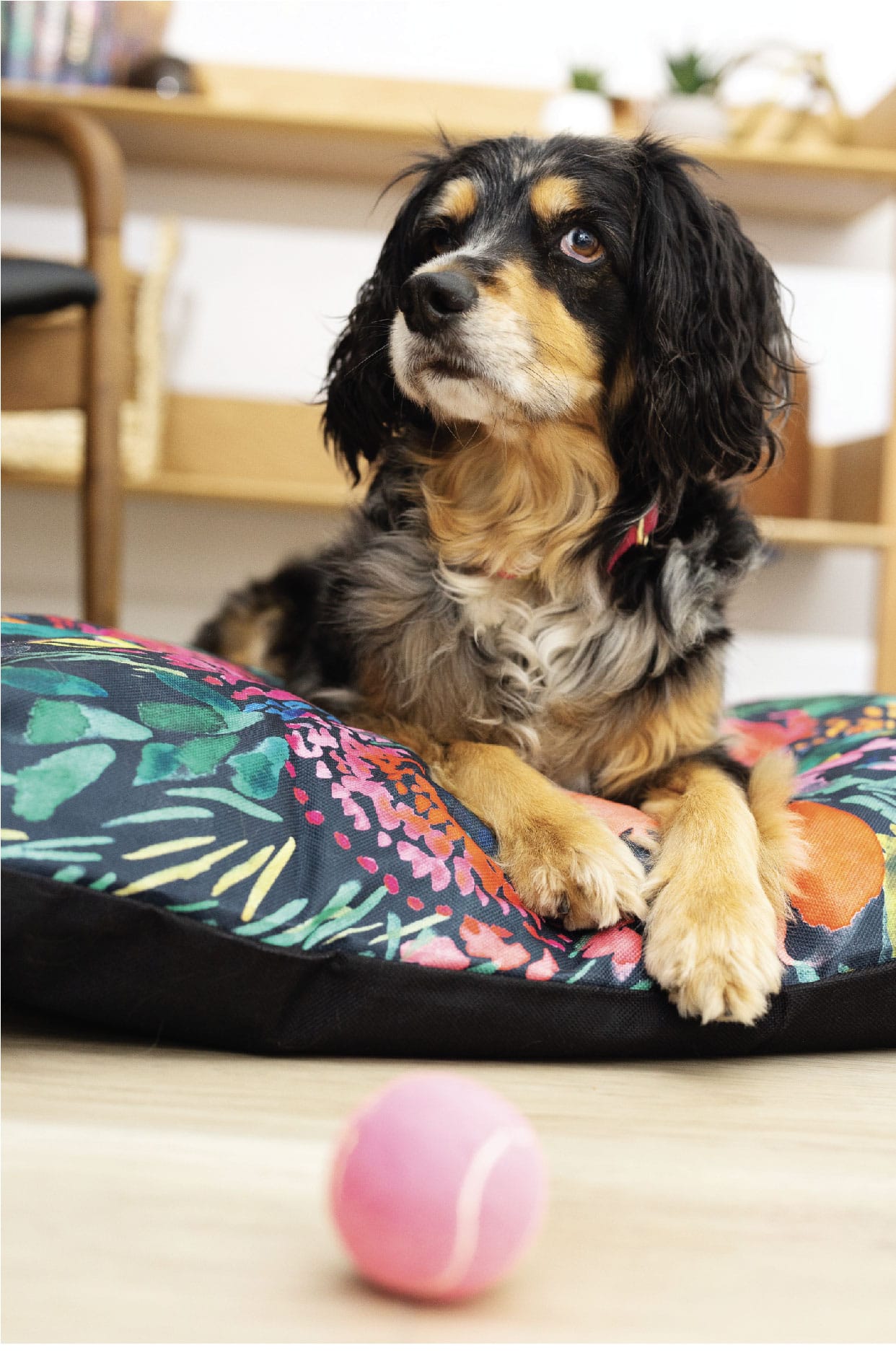 Bella Dog Bed | Pink Papyrus
