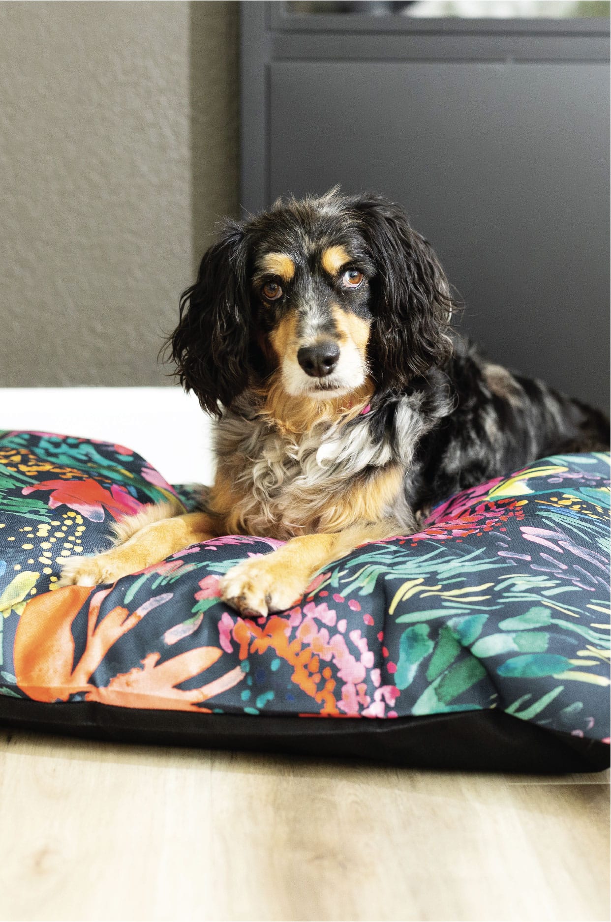 Bella Dog Bed | Pink Papyrus
