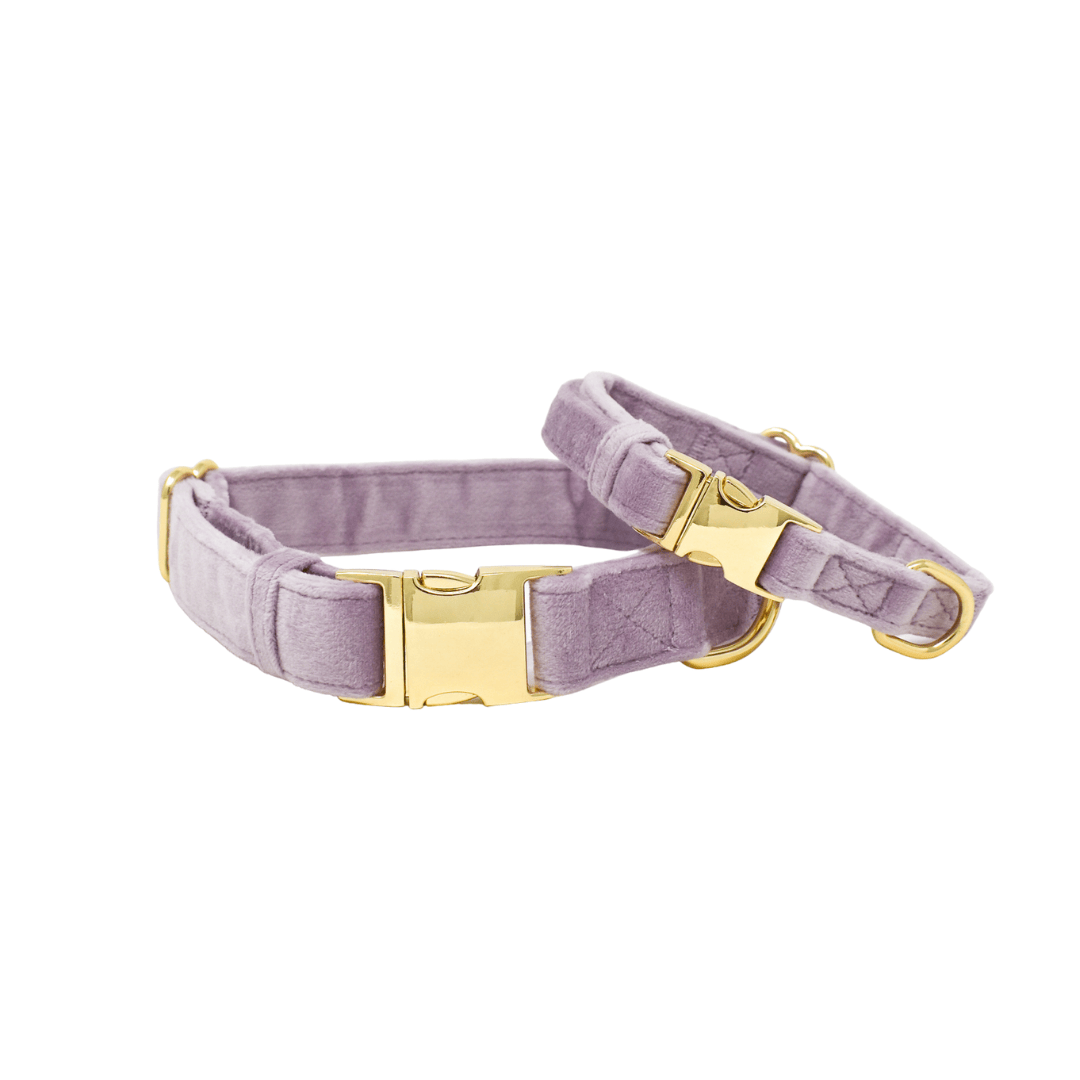 Billie Dog Collar | Pink Papyrus