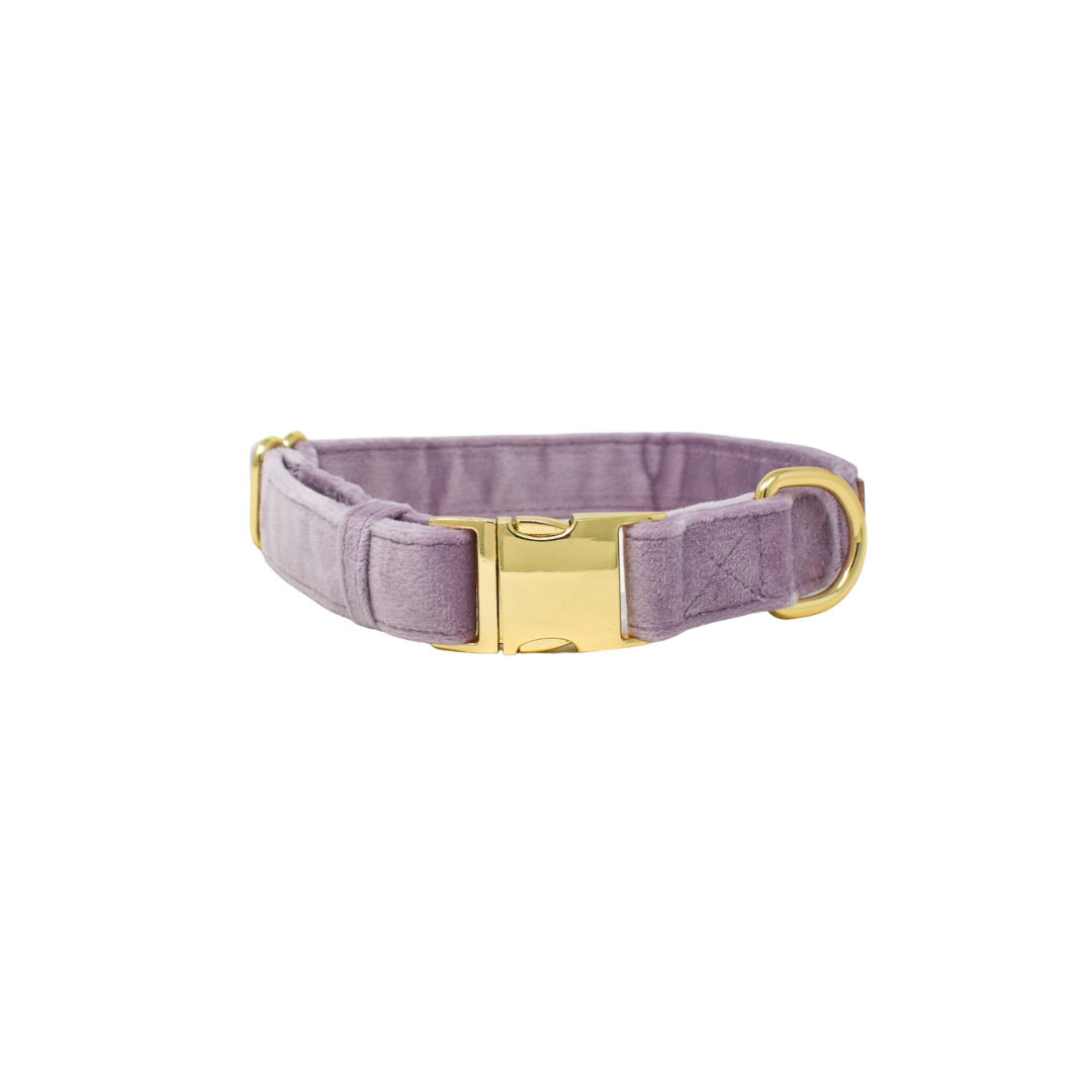 Billie Dog Collar