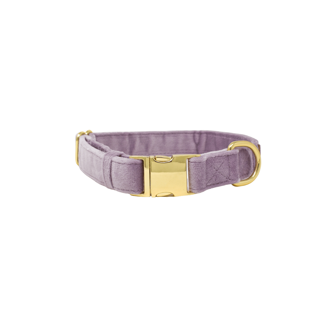 Billie Dog Collar | Pink Papyrus