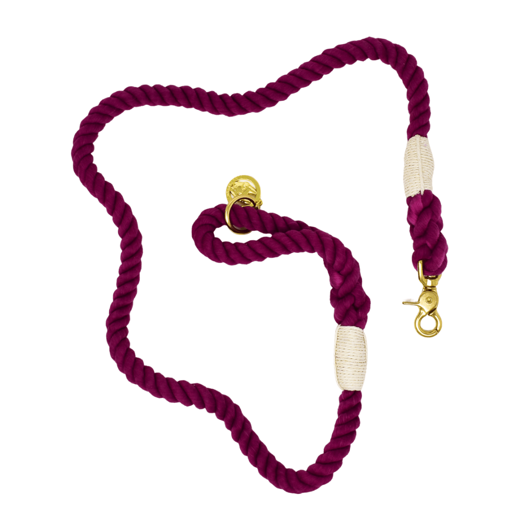 Bree Rope Dog Leash | Pink Papyrus
