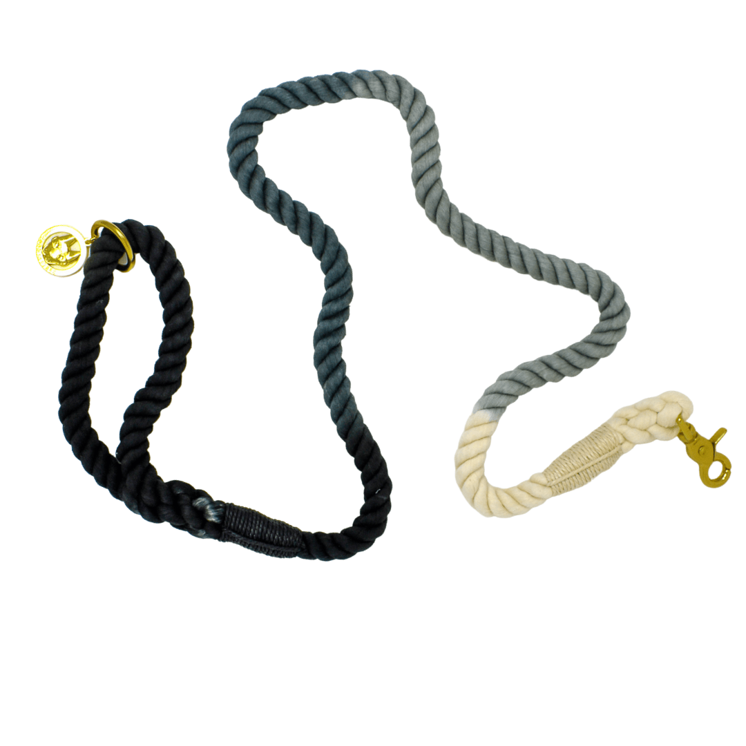 Cairo Rope Dog Leash | Pink Papyrus
