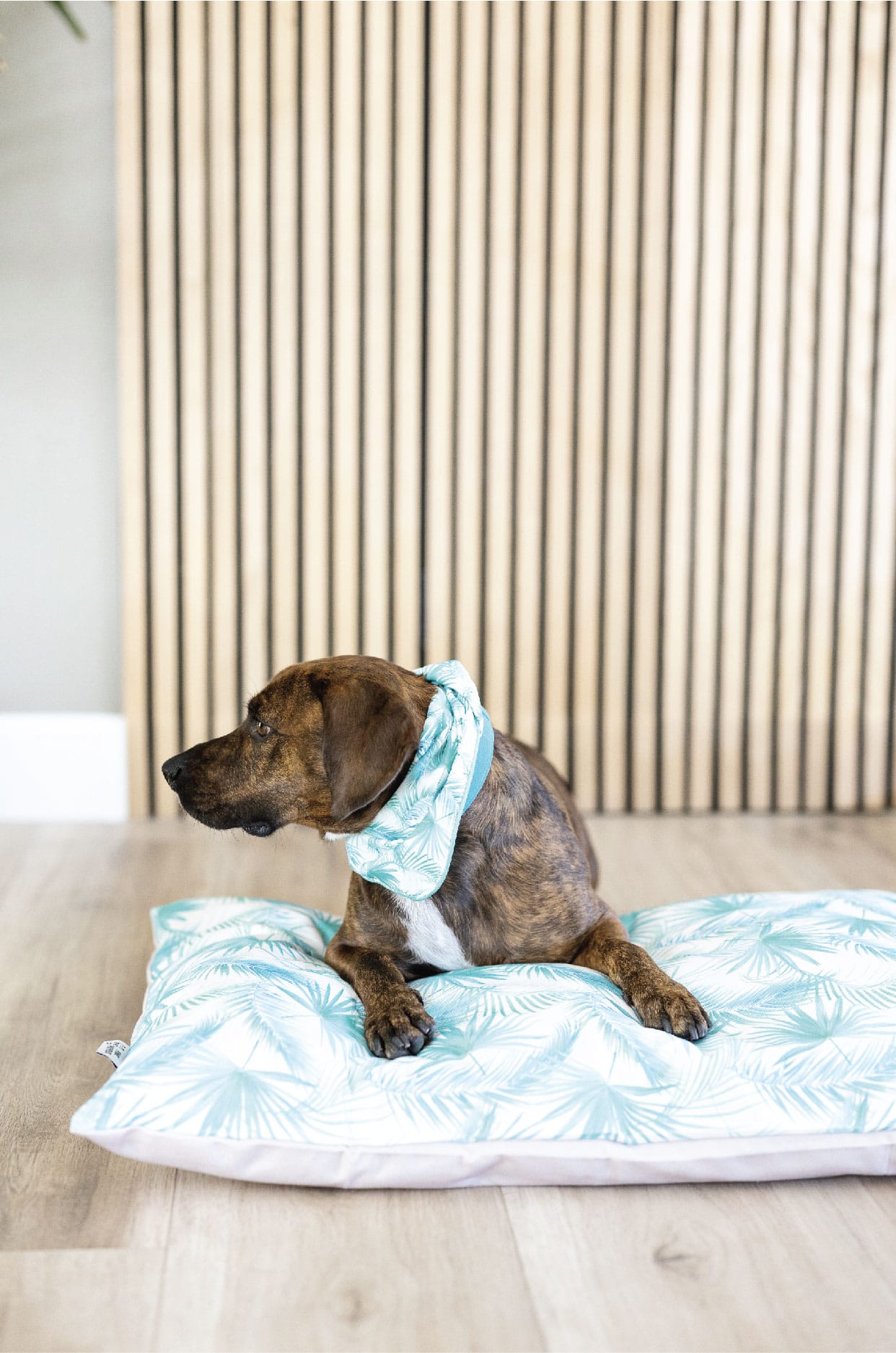 Capri Dog Bed | Pink Papyrus