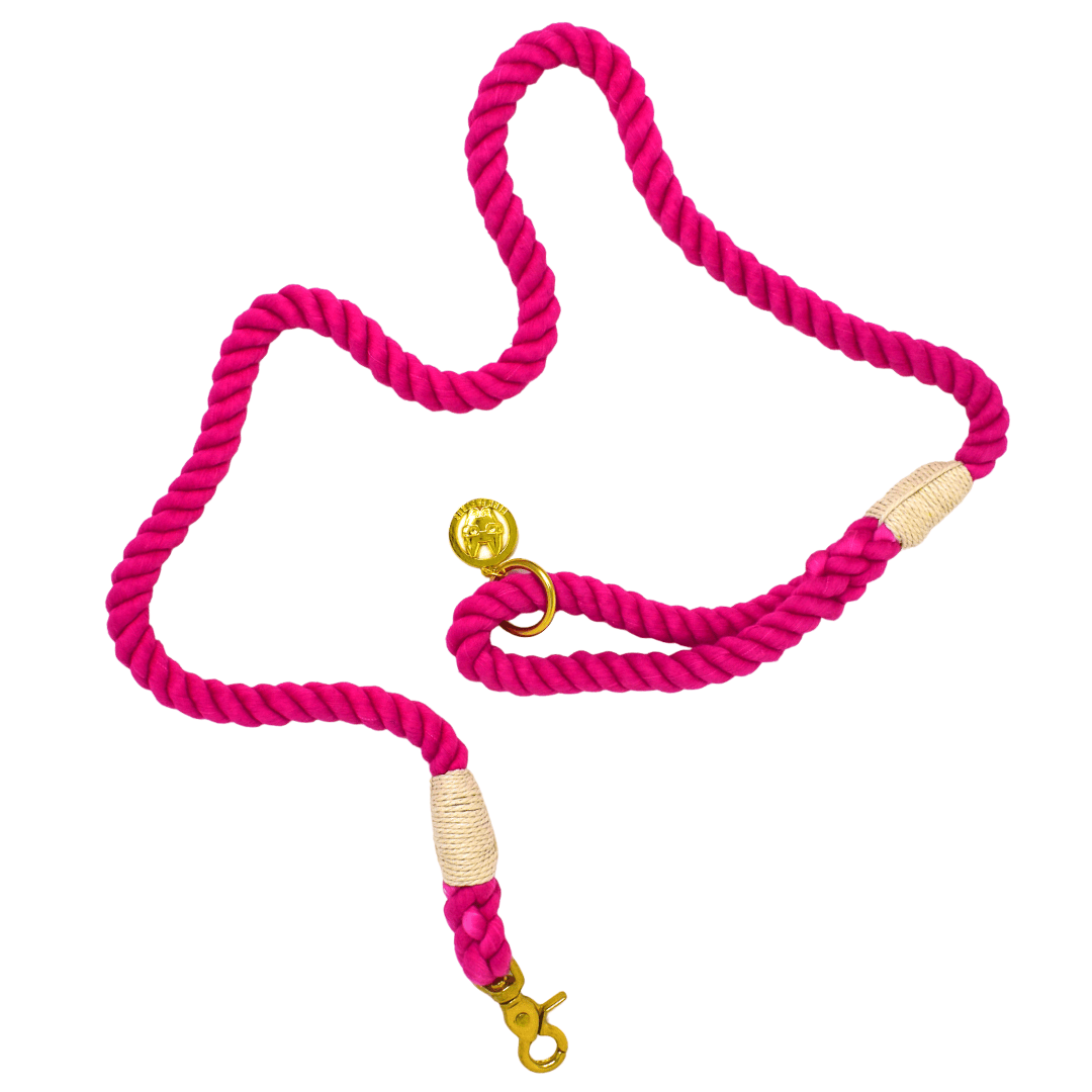 Christine Rope Dog Leash | Pink Papyrus