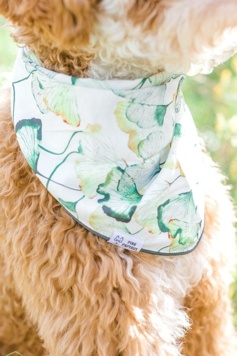 Cosette Dog Bandana