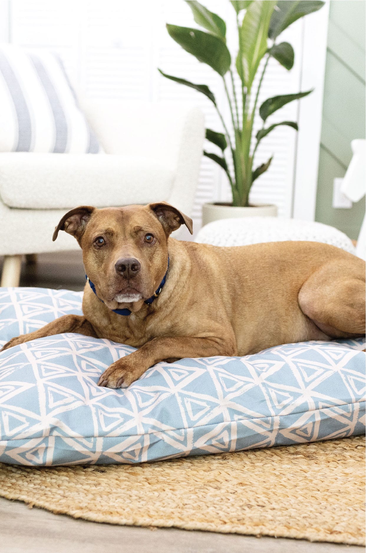 Davina Dog Bed | Pink Papyrus