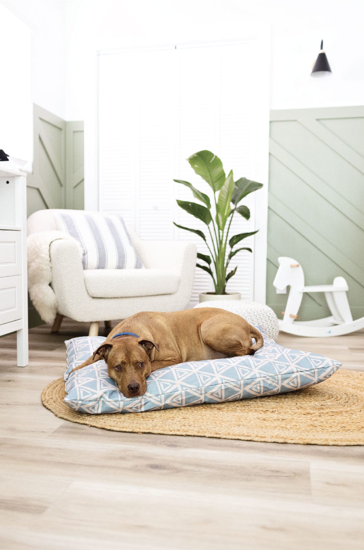 Davina Dog Bed | Pink Papyrus