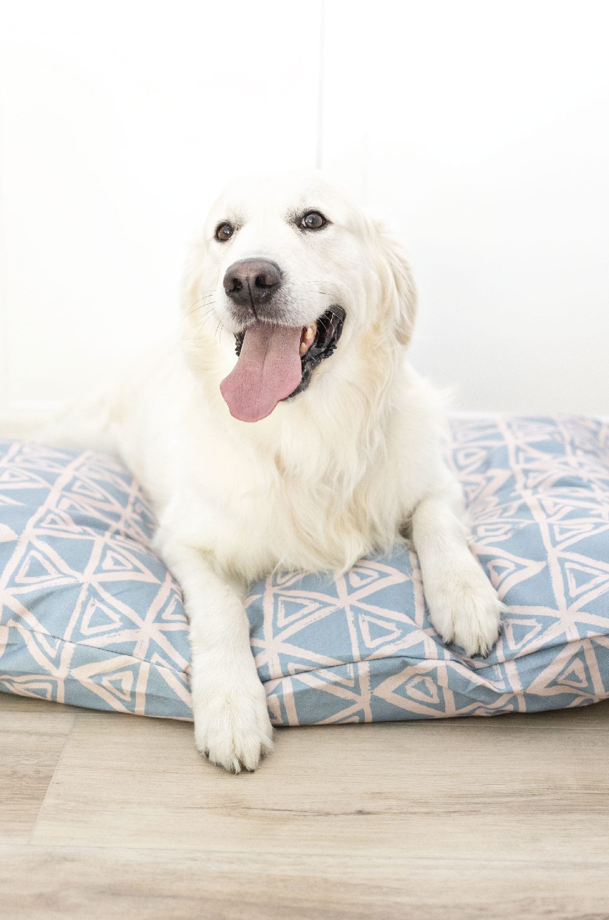 Davina Dog Bed | Pink Papyrus