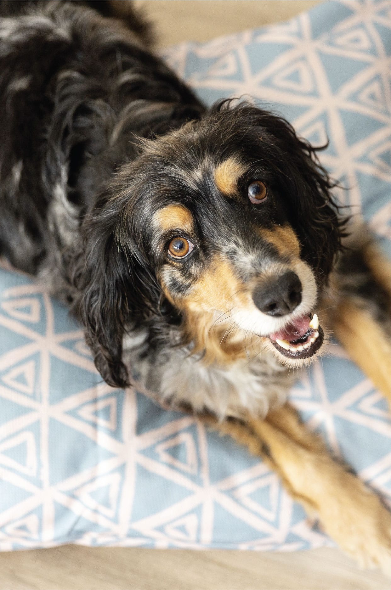 Davina Dog Bed | Pink Papyrus