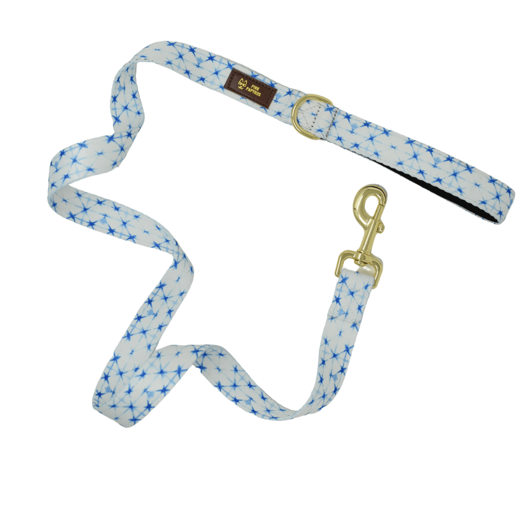 Drew Dog Leash | Pink Papyrus