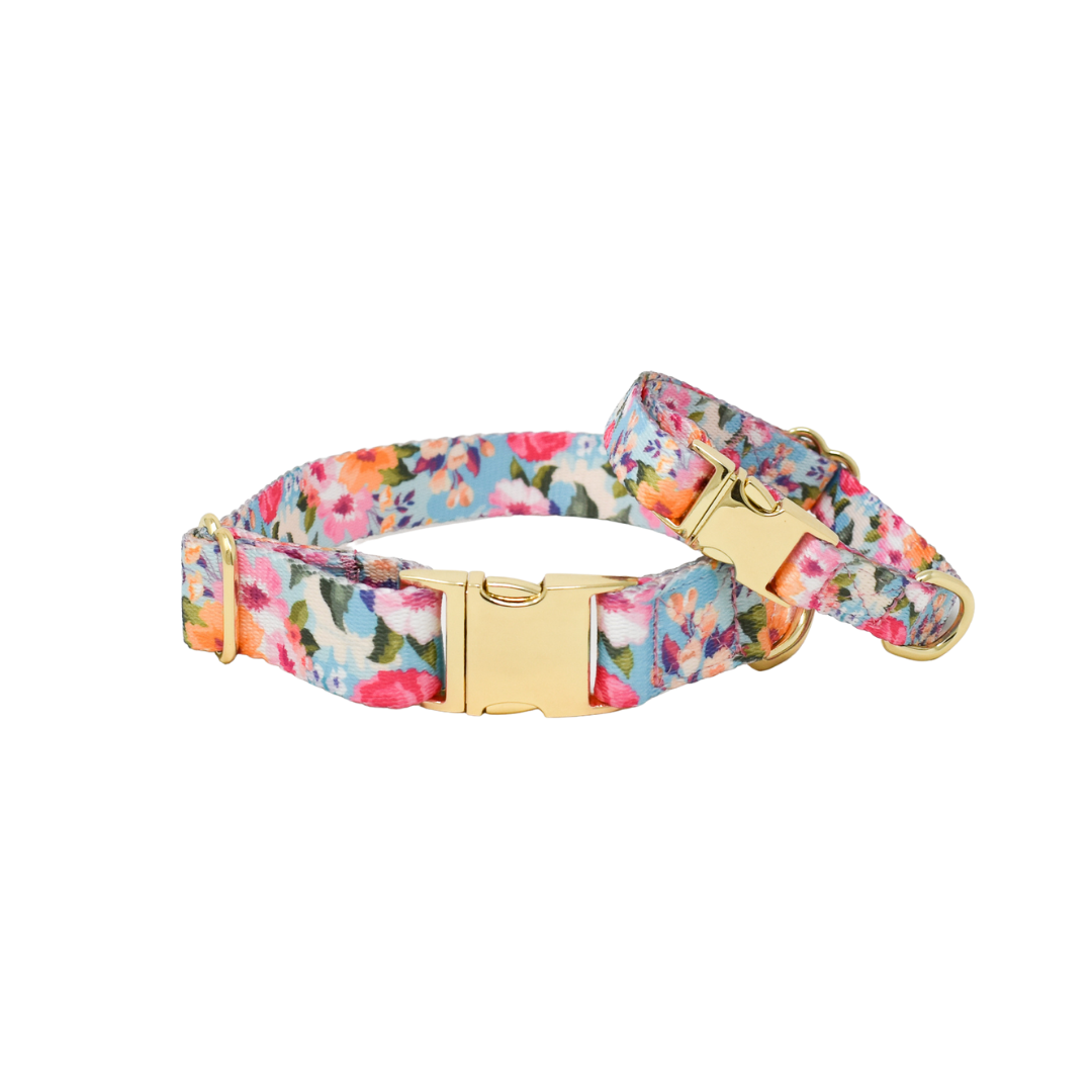Emery Dog Collar