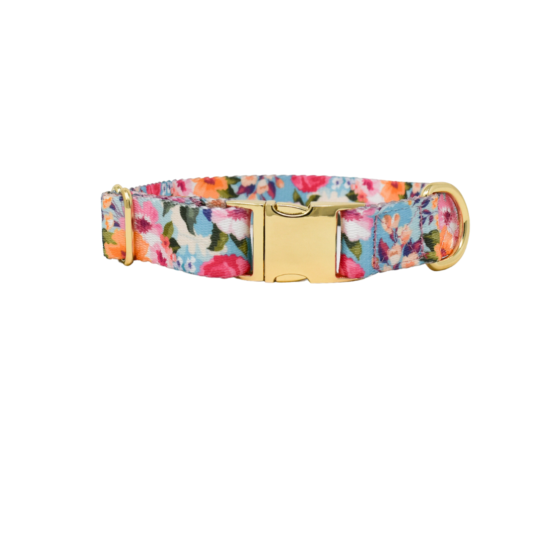 Emery Dog Collar