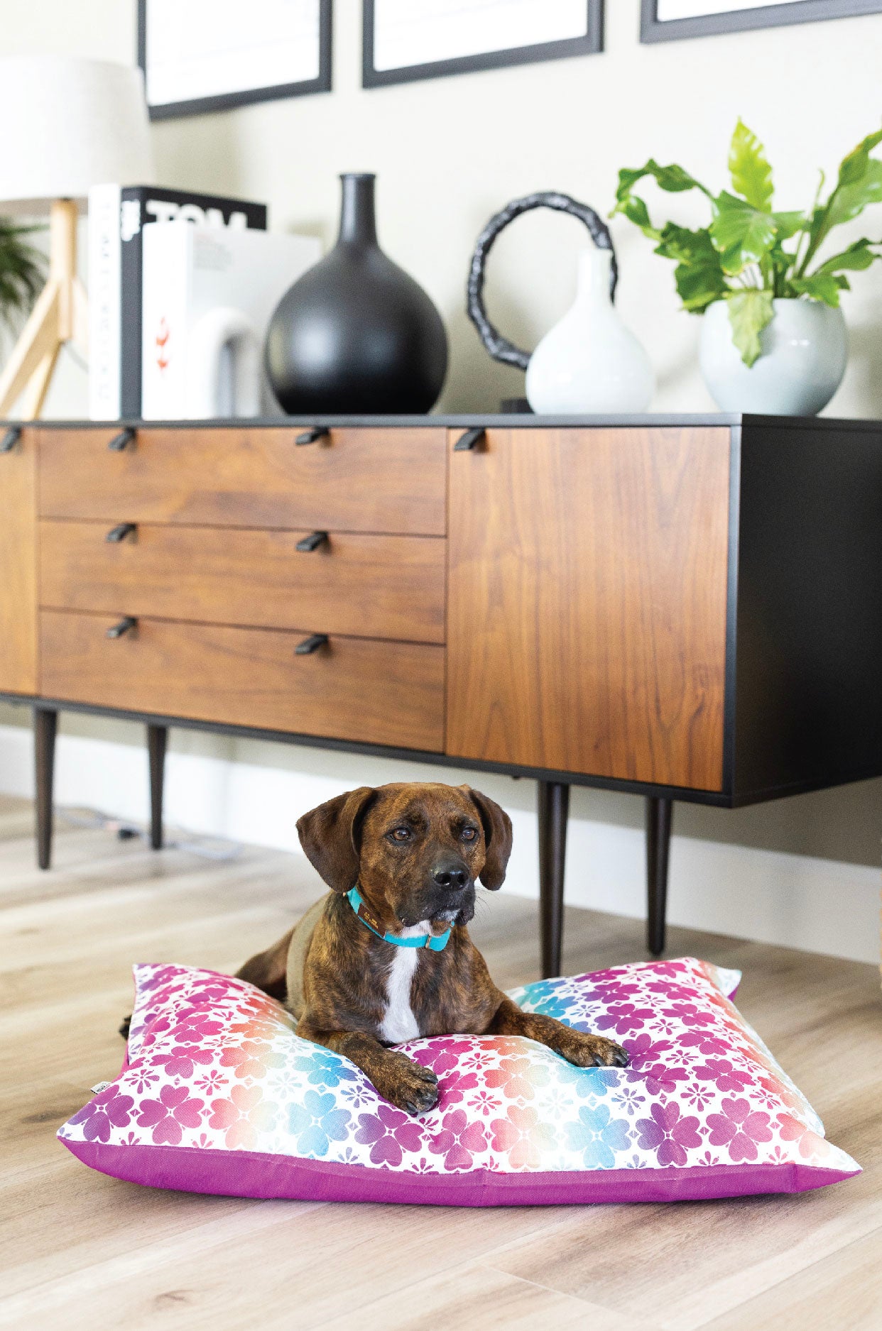 Everly Dog Bed