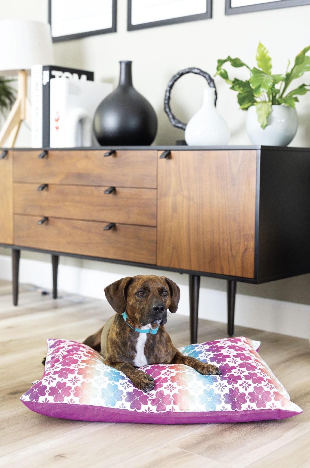 Everly Dog Bed | Pink Papyrus