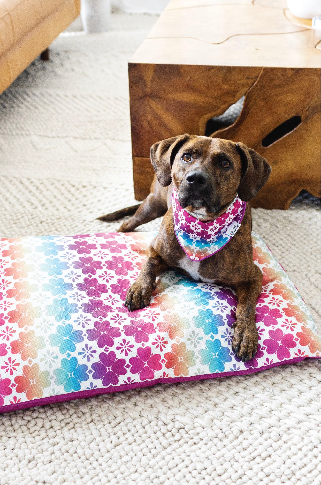 Everly Dog Bed