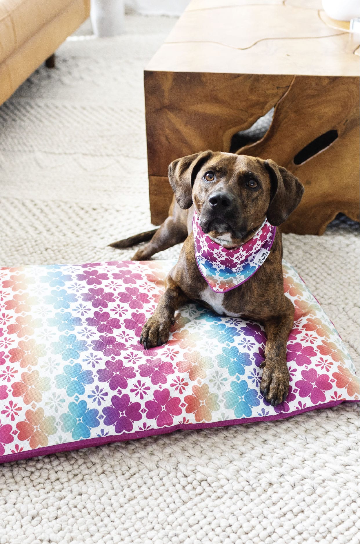 Everly Dog Bed | Pink Papyrus