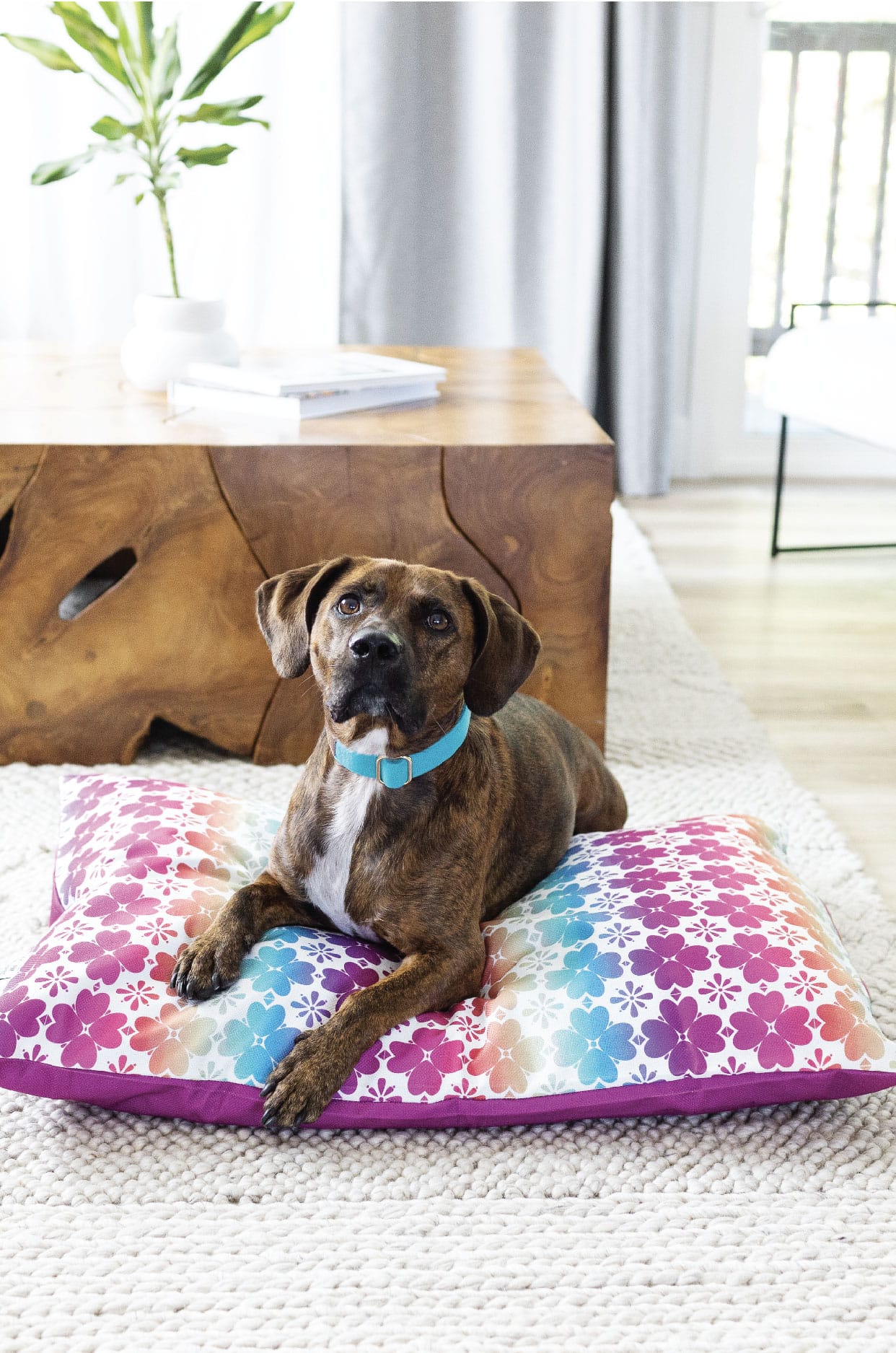 Everly Dog Bed | Pink Papyrus