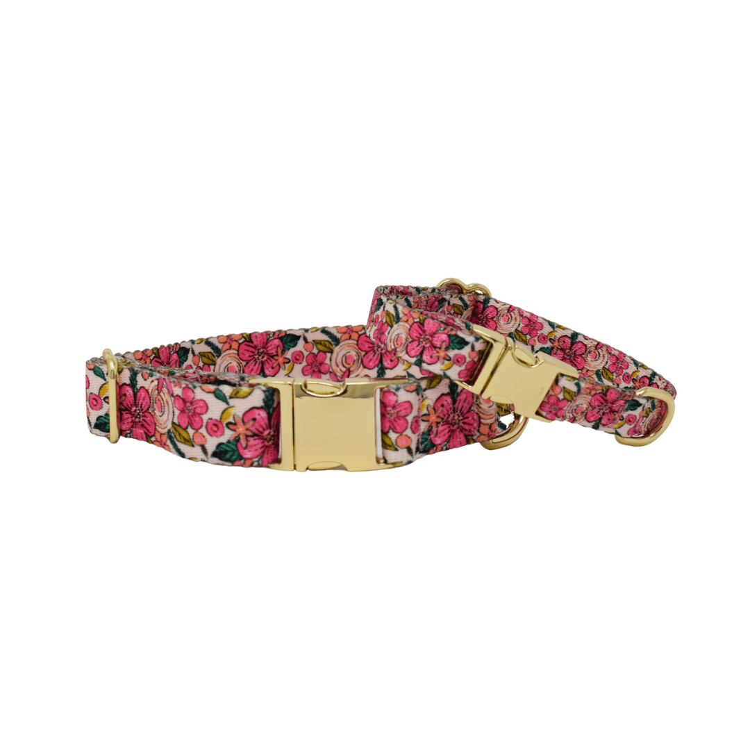 Gianna Dog Collar | Pink Papyrus