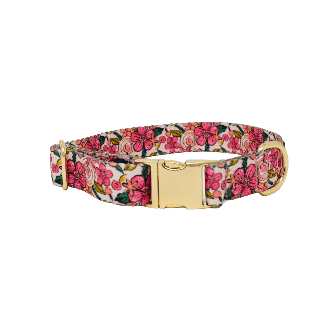 Gianna Dog Collar | Pink Papyrus