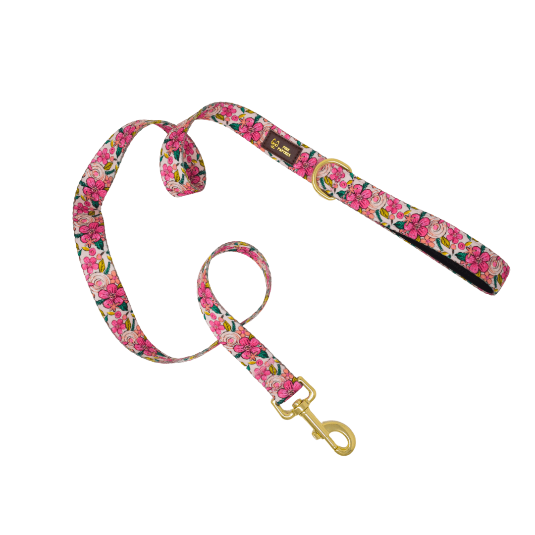 Gianna Dog Leash | Pink Papyrus