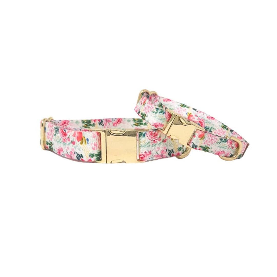 Isabella Dog Collar
