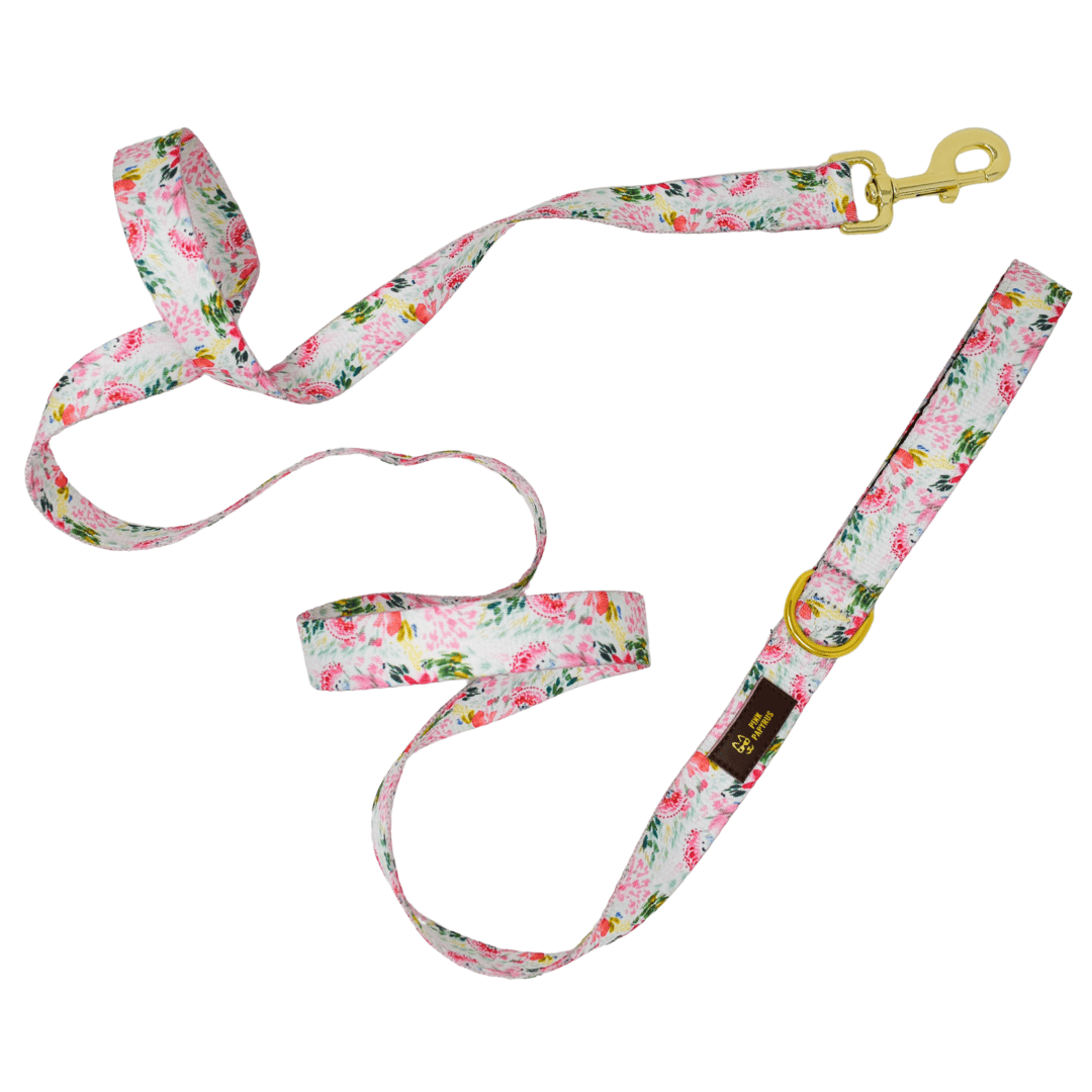 Isabella Dog Leash | Pink Papyrus