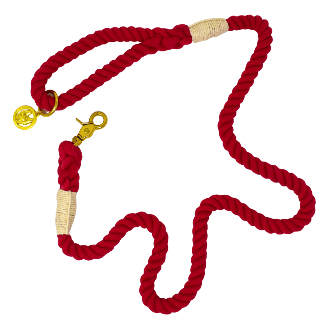 Karla Rope Dog Leash | Pink Papyrus