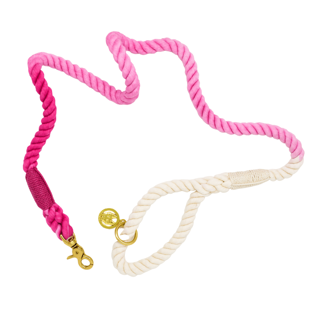 Maggie Rope Dog Leash | Pink Papyrus